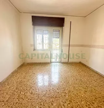 Foto annuncio 12