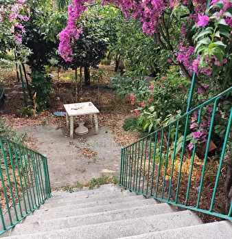 Foto annuncio 8