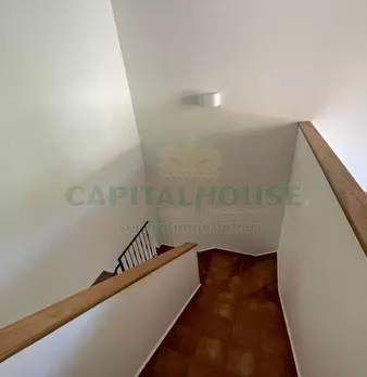 Foto annuncio 22