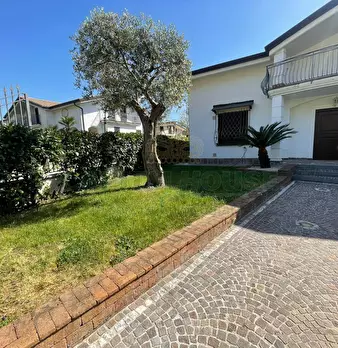Foto annuncio 51