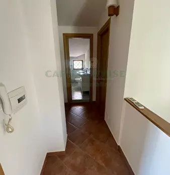 Foto annuncio 62