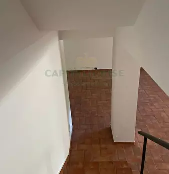 Foto annuncio 69