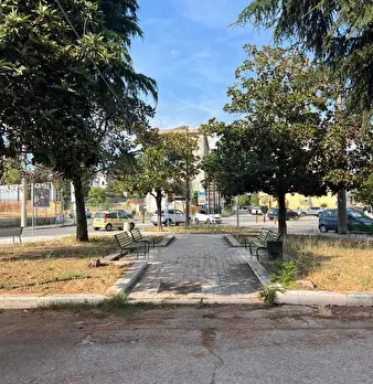 Foto annuncio 11