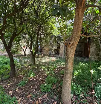 Foto annuncio 3