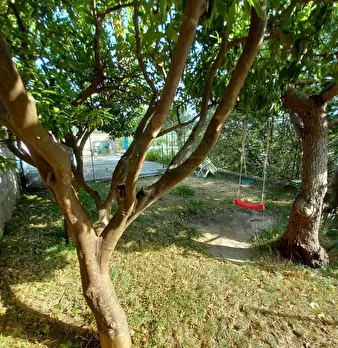 Foto annuncio 11