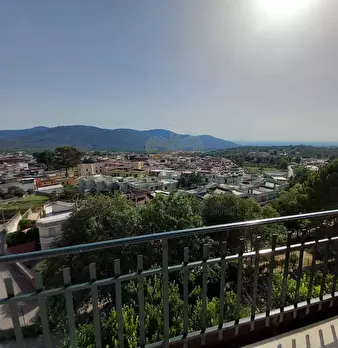 Foto annuncio 24