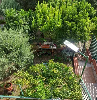 Foto annuncio 46