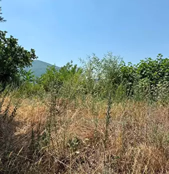 Foto annuncio 11