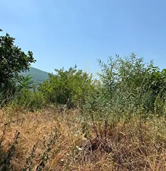 Foto annuncio 12