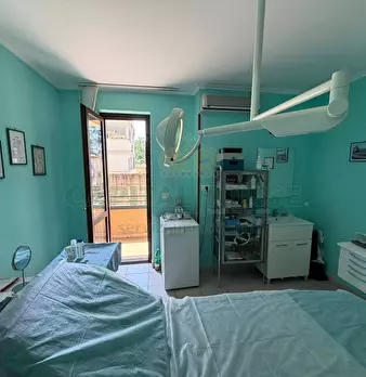 Foto annuncio 9
