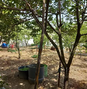 Foto annuncio 6