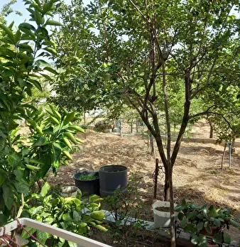 Foto annuncio 22