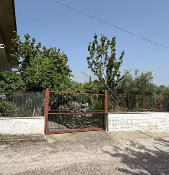 Foto annuncio 21