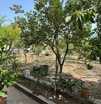 Foto annuncio 8