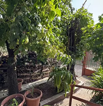 Foto annuncio 23