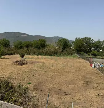 Foto annuncio 8