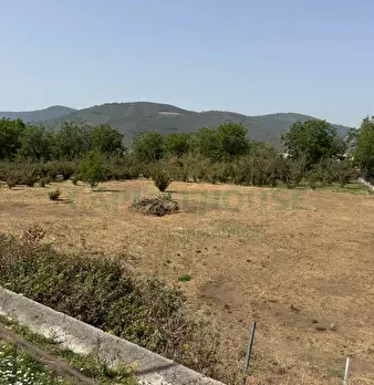 Foto annuncio 12