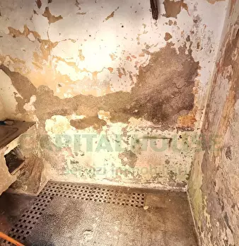 Foto annuncio 31