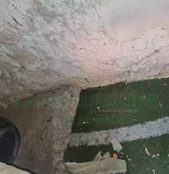Foto annuncio 33