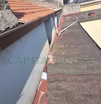 Foto annuncio 49