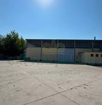 Foto annuncio 6