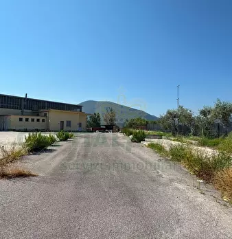 Foto annuncio 8