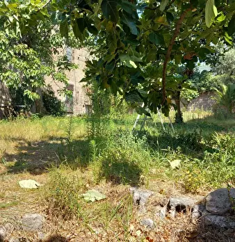Foto annuncio 6