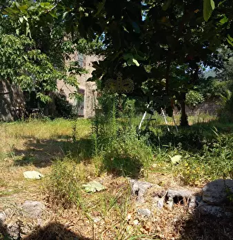 Foto annuncio 19