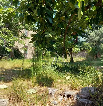 Foto annuncio 11