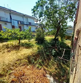 Foto annuncio 20