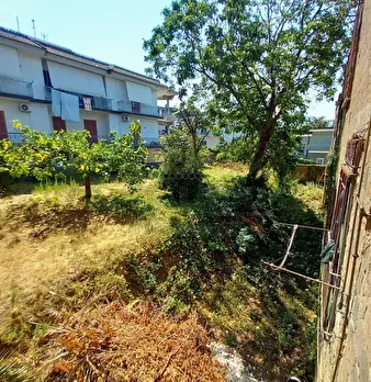 Foto annuncio 21