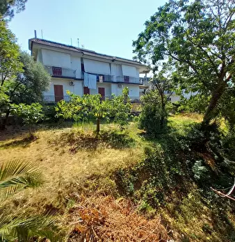 Foto annuncio 7