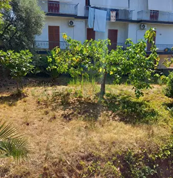 Foto annuncio 14