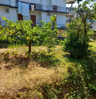 Foto annuncio 8
