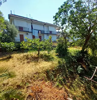 Foto annuncio 18