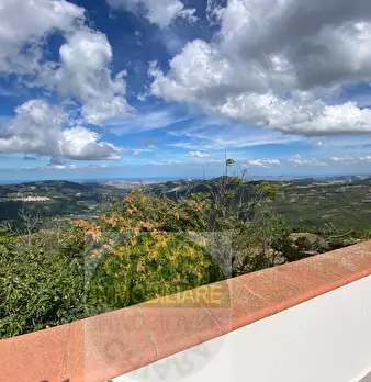 Foto annuncio 24