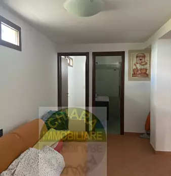 Foto annuncio 12