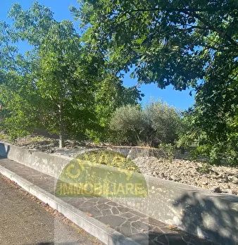 Foto annuncio 33