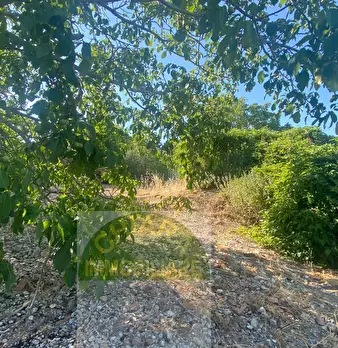 Foto annuncio 35