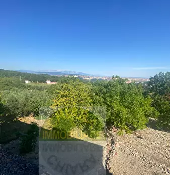 Foto annuncio 40