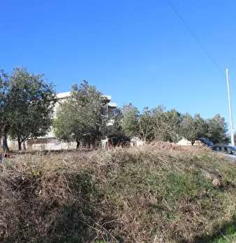 Foto annuncio 16