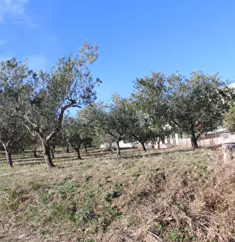 Foto annuncio 17