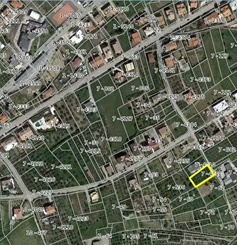 Foto annuncio 15