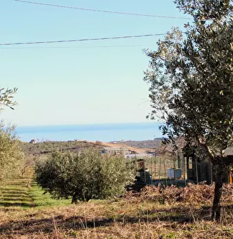 Foto annuncio 5