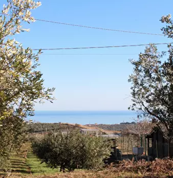 Foto annuncio 6