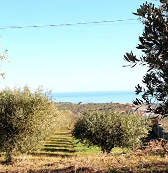 Foto annuncio 2