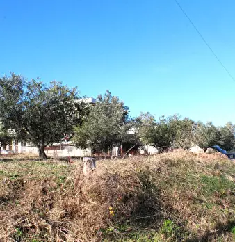 Foto annuncio 13