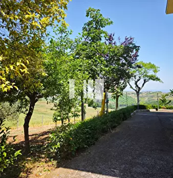 Foto annuncio 11