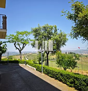 Foto annuncio 14