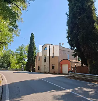 Foto annuncio 44